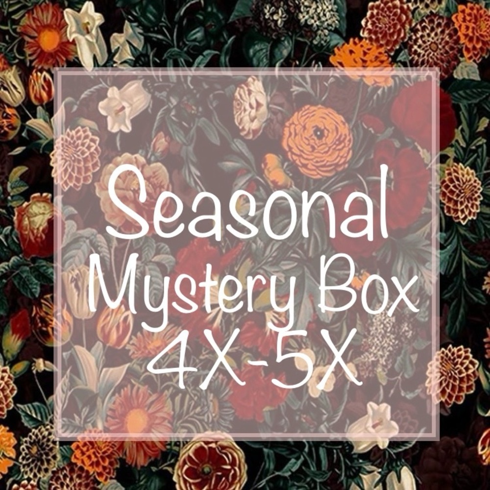 NEW! Women’s Seasonal Mystery Box Size 4X 5X Clothing Variety Bundle